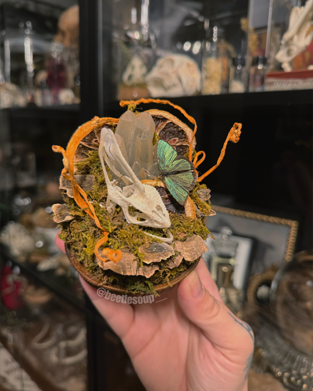 #6 Chameleon Skull & Slug Mirror Wall Sconce