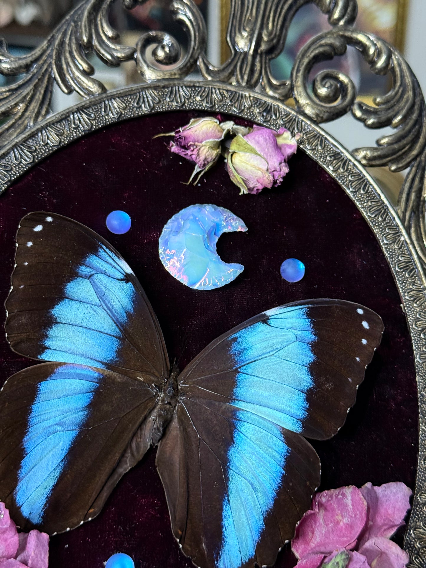 Valentines Collection Opal moon & Morpho (Read Description)