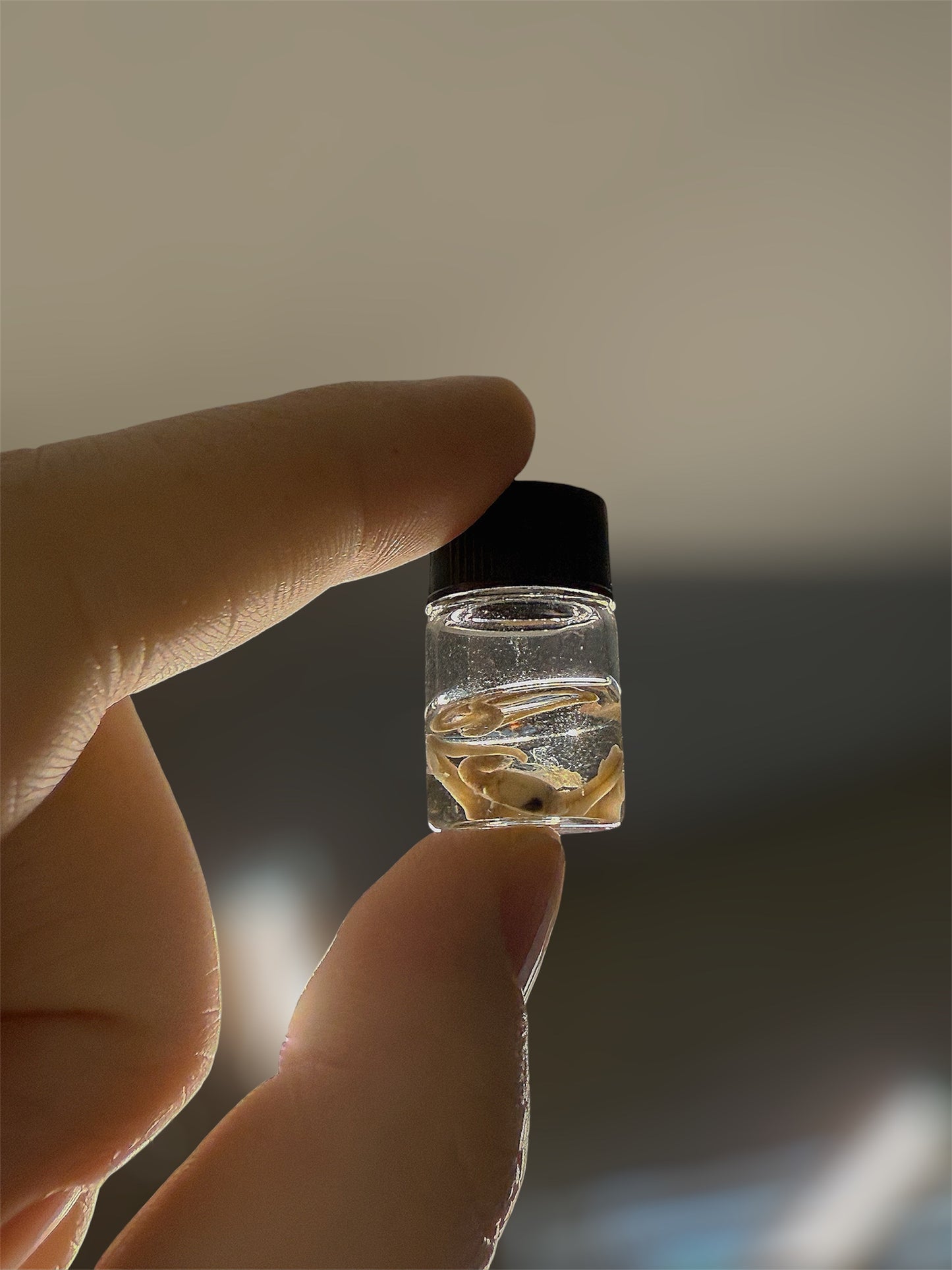 #60 DELUX MYSTERY CIGAR BOX - NO FILLERS / NO JUNK!