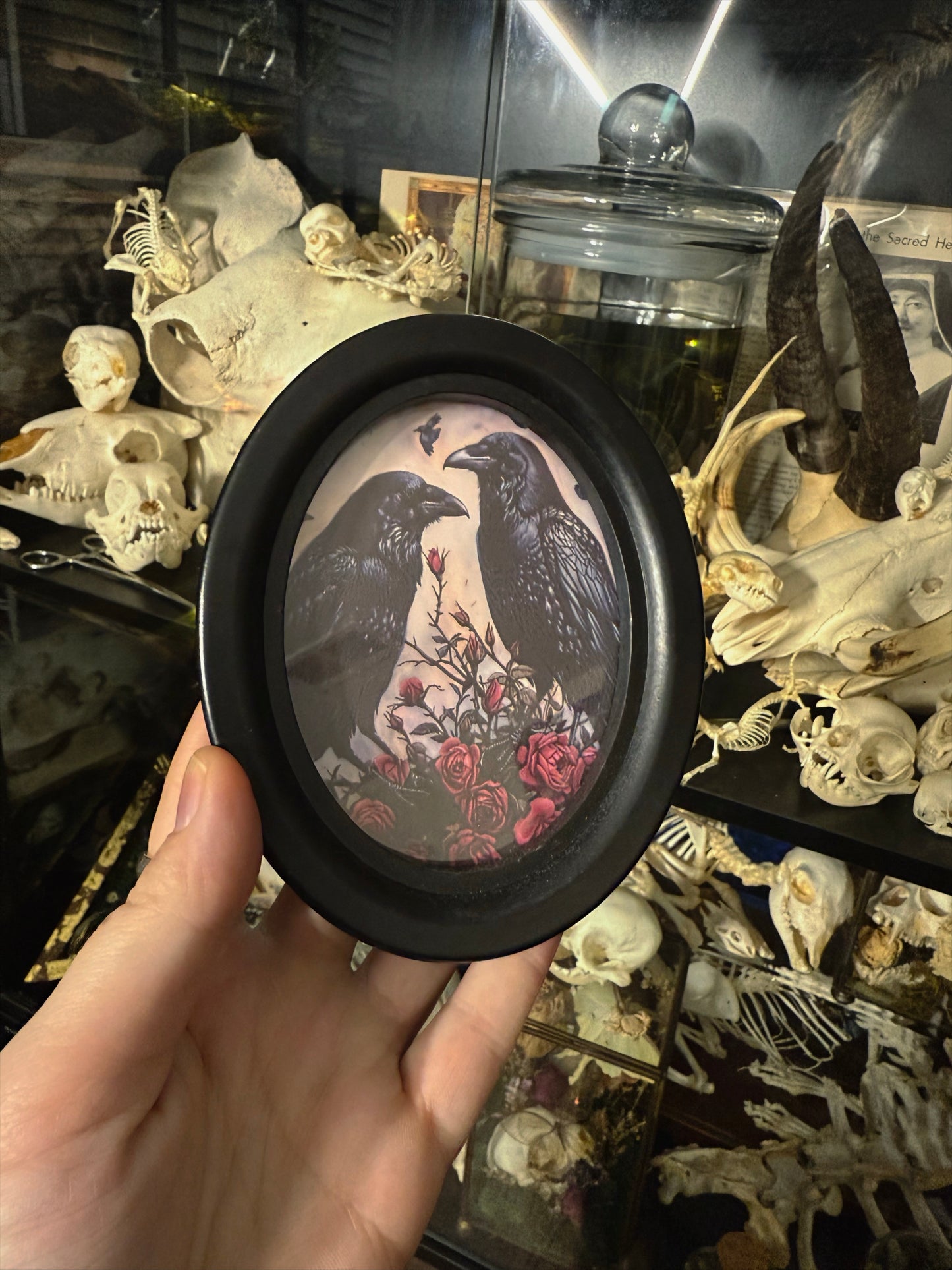 #66 ONE LEFT! Mini frames