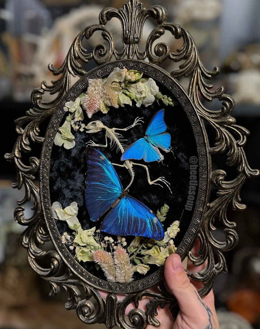 #2 Baby Iguana Skeleton 10x13