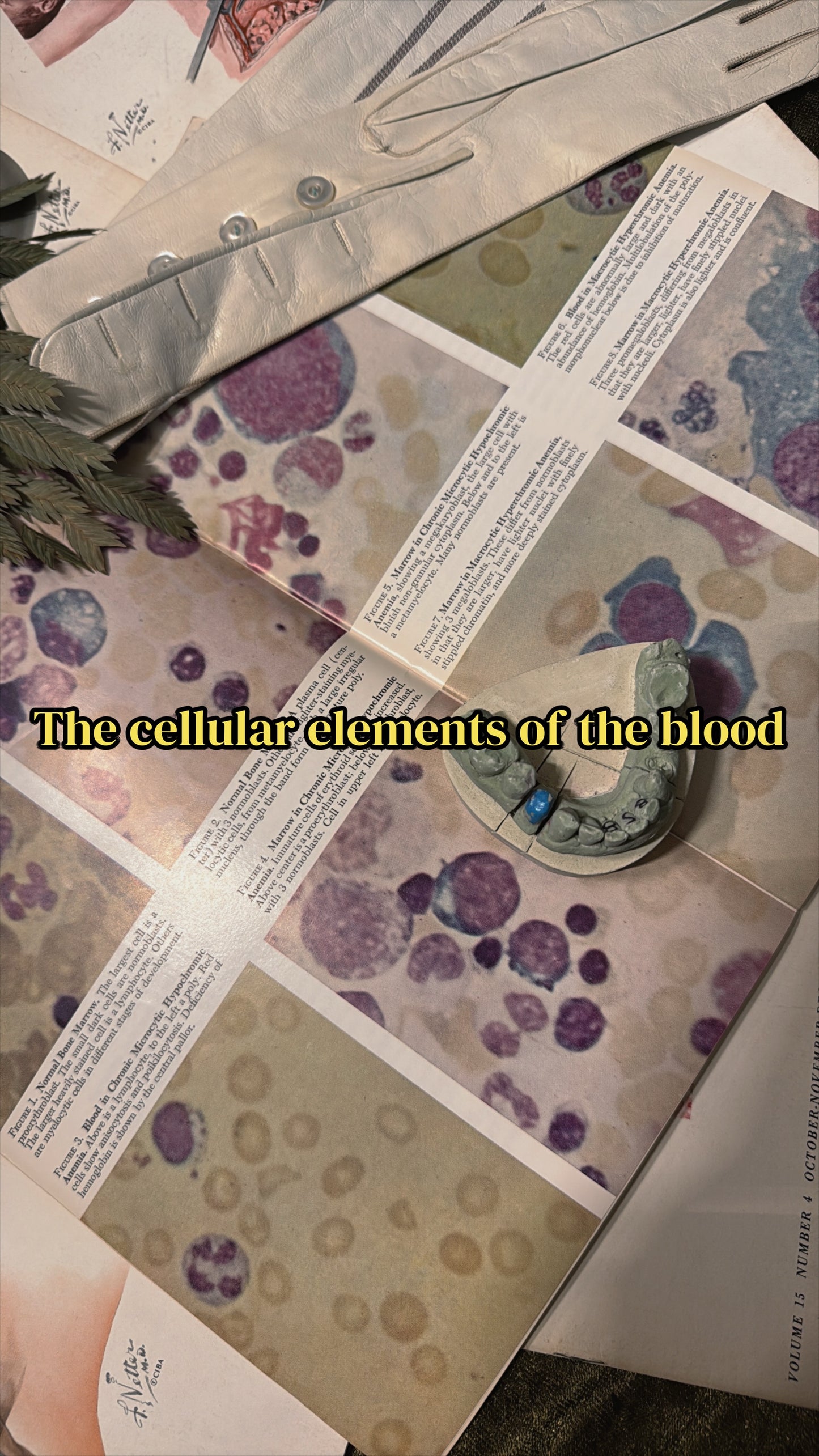 #74 1960s Vintage Clinical Symposia books