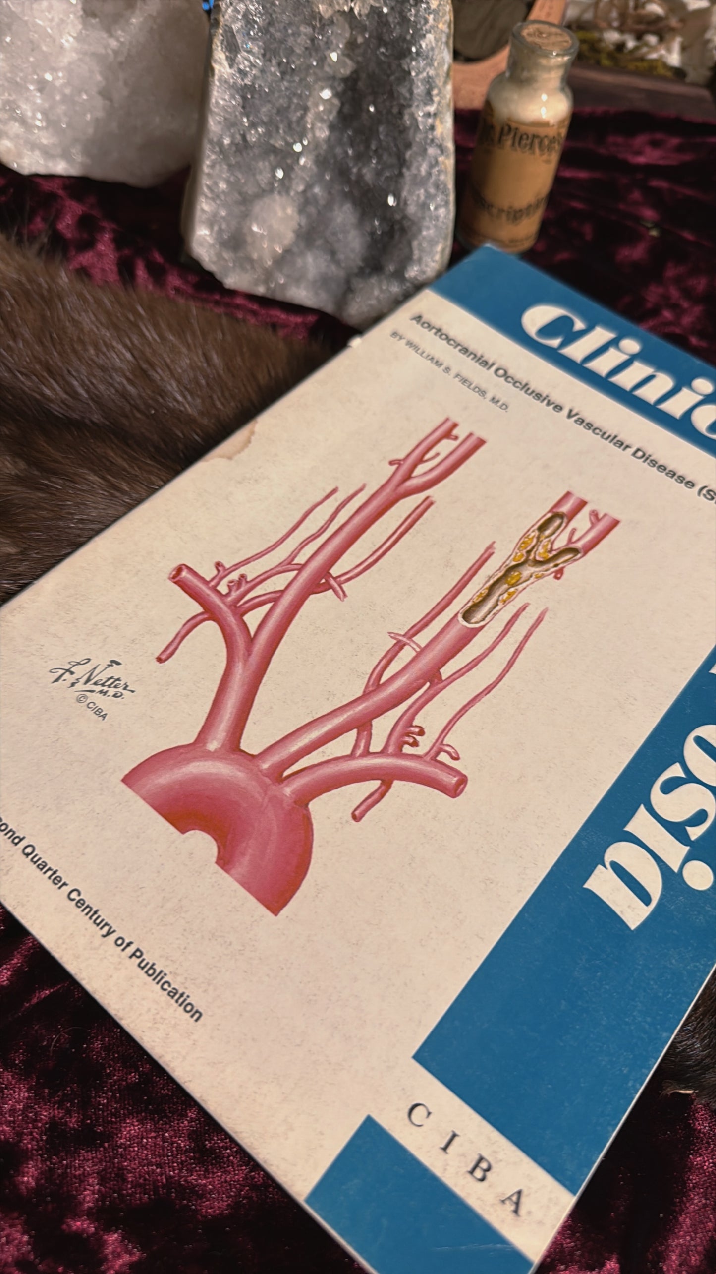 #85 ONE LEFT! 1970s Vintage Clinical Symposia books (set option)