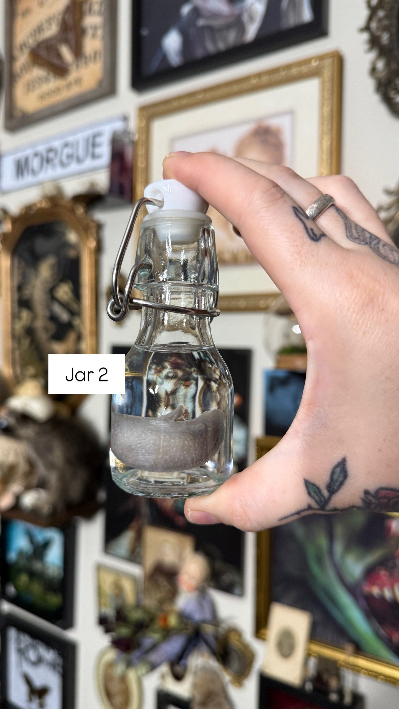 Valentines Collection Hedgehogs (Read Description!)