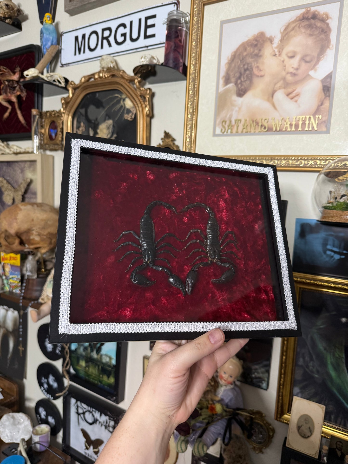 Valentines Collection