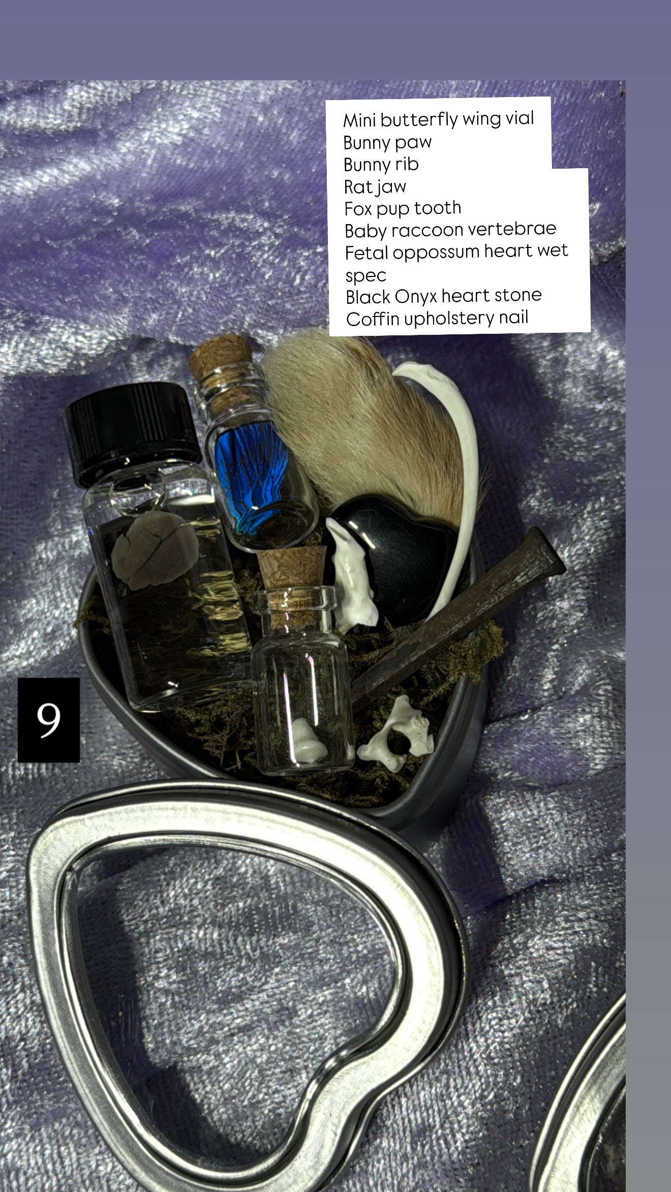 Valentines Collection MINI ODDITY HEART TIN, some w/ WET SPECIMEN