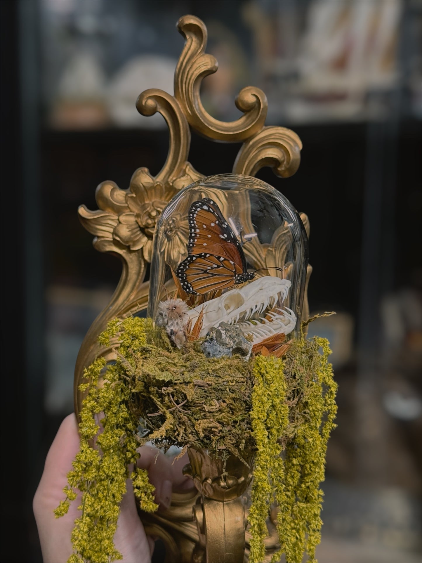 #5 Python Skull Wall Sconce