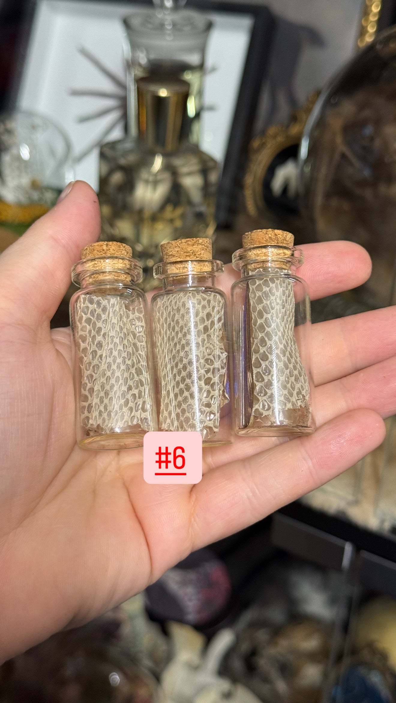 #38 Butterfly/Moth/ Mushroom/ Snake Shed Trinkets