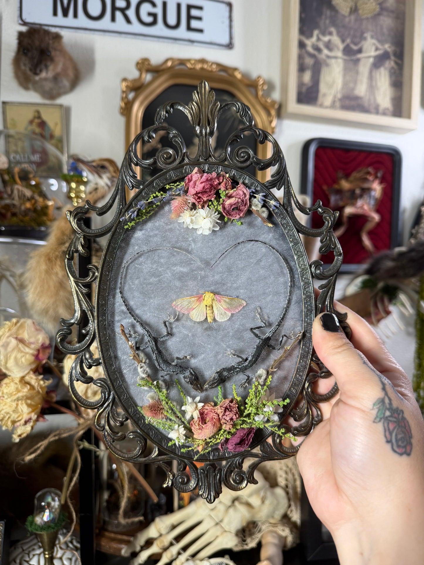 #17 Mummified Heart shaped lizards 7x10