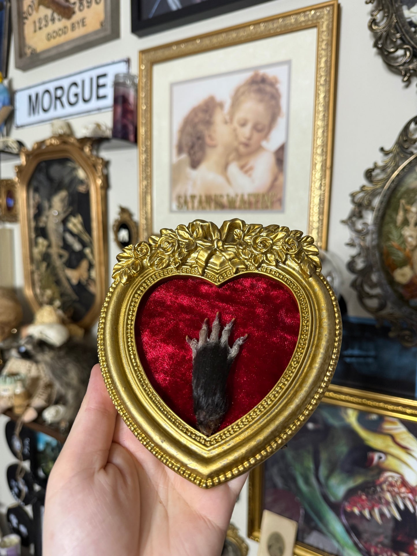 Valentines Collection Opossum