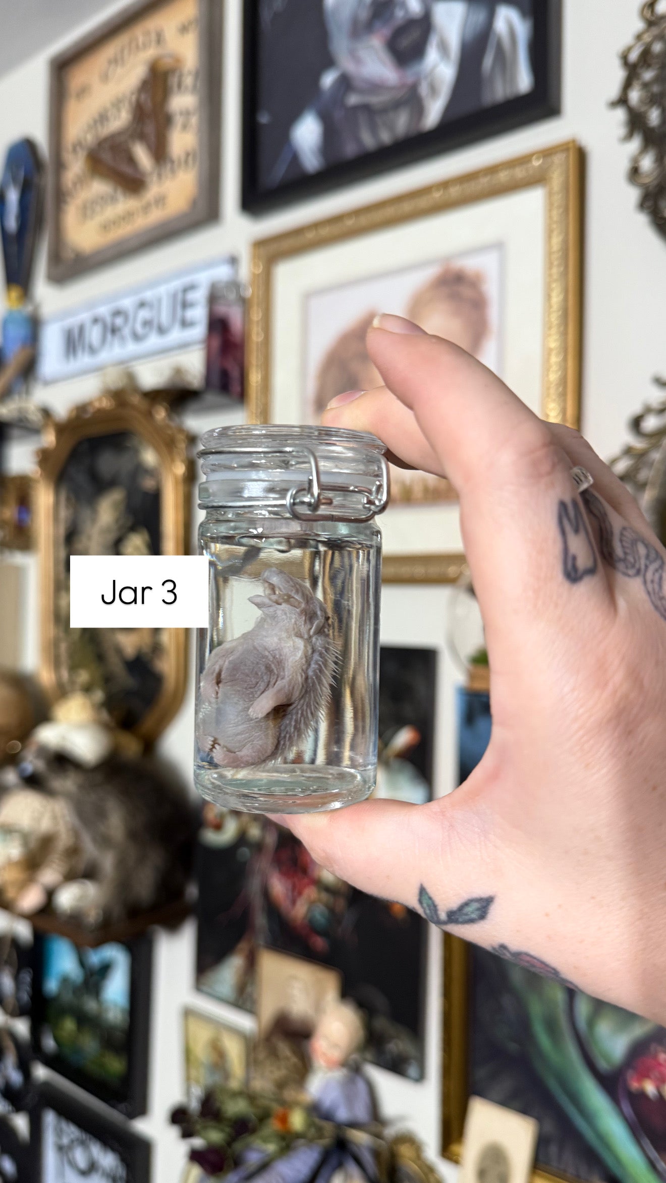 Valentines Collection Hedgehogs (Read Description!)