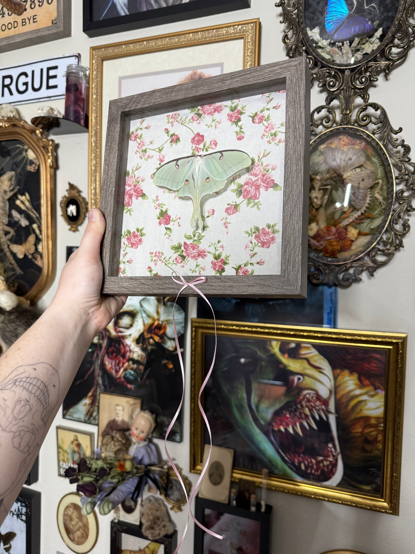 Valentines Collection Luna