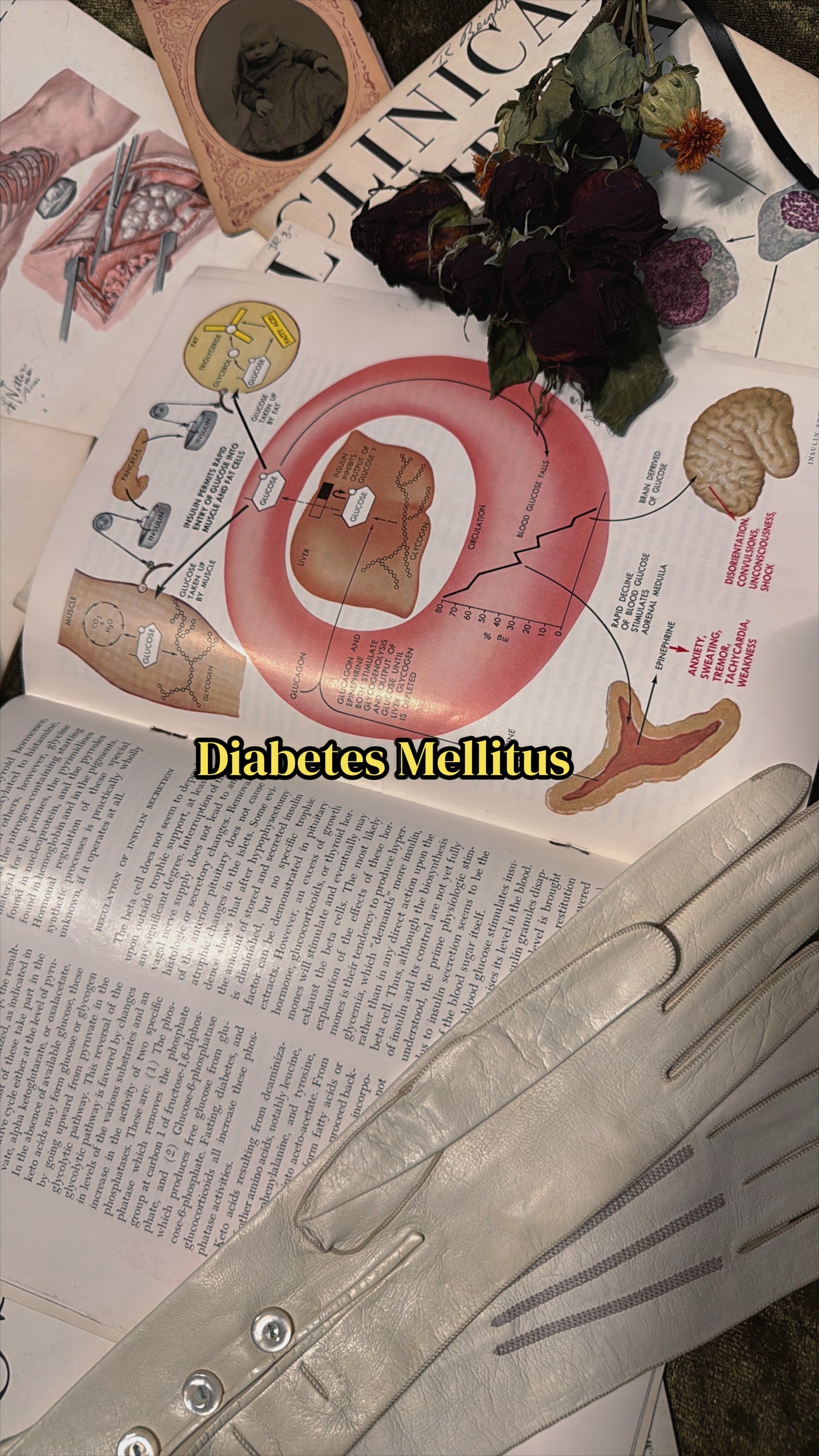 #74 1960s Vintage Clinical Symposia books