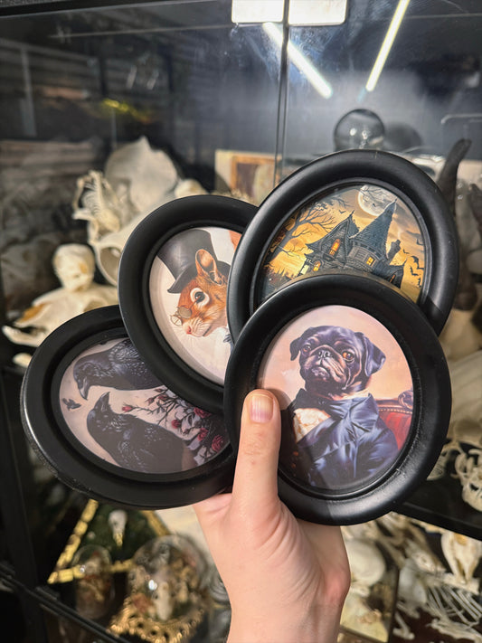 #66 ONE LEFT! Mini frames