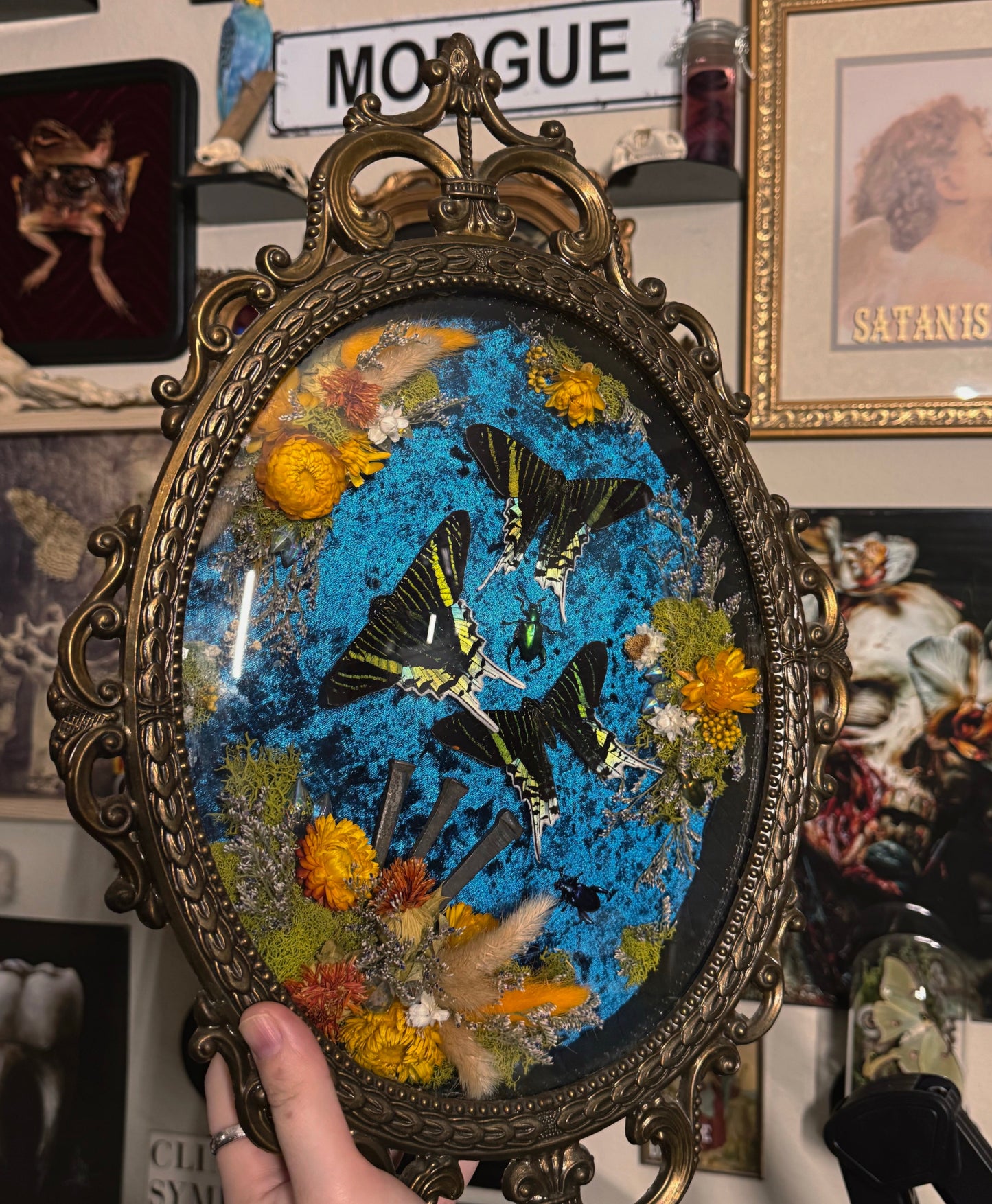 #63 huge 11x17 vintage frame with coffin nails