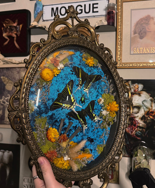 #63 huge 11x17 vintage frame with coffin nails