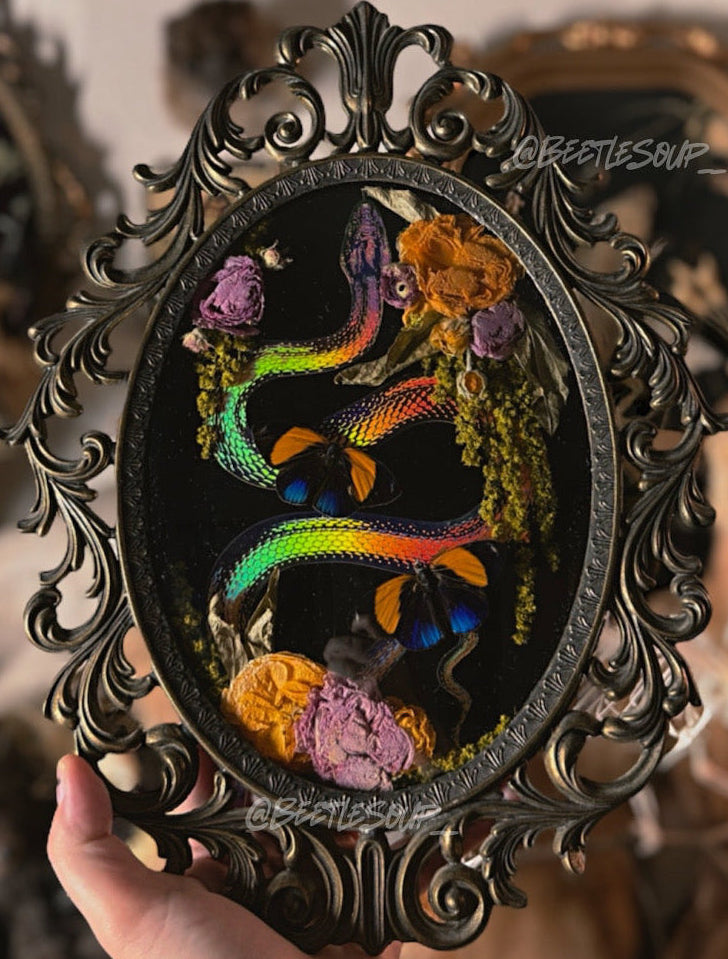 #8 Faux holographic snake & Real butterflies 10x13