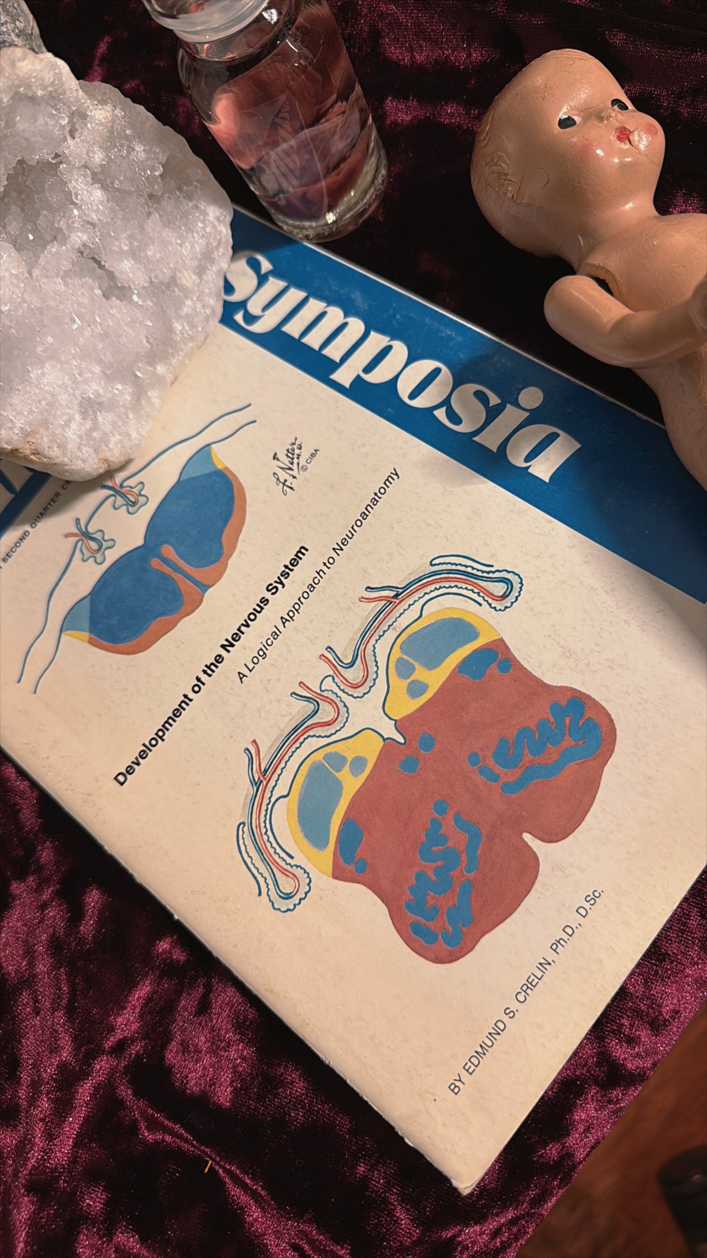 #85 ONE LEFT! 1970s Vintage Clinical Symposia books (set option)