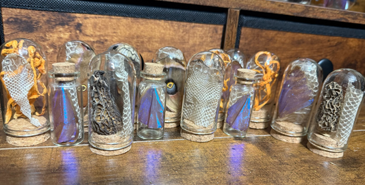 #38 Butterfly/Moth/ Mushroom/ Snake Shed Trinkets