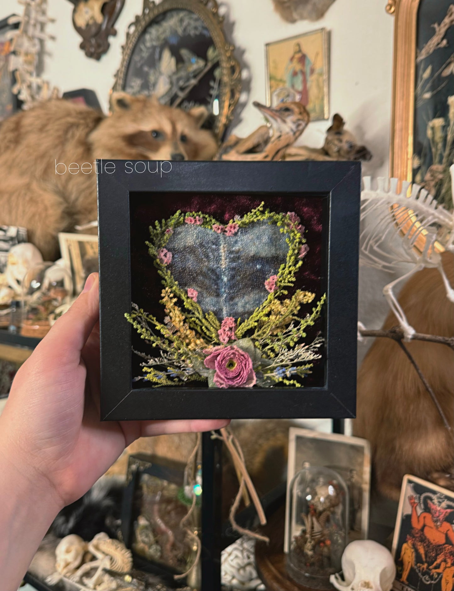 #27 Preserved Chameleon Hide 5x5