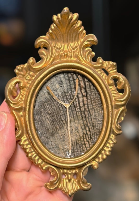 #37 Mini Entoglossal Bone & Chameleon Skin frame