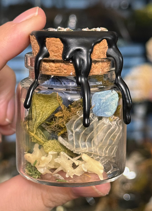 #40 Good Intention Witchy Jar Snake bones & Shed