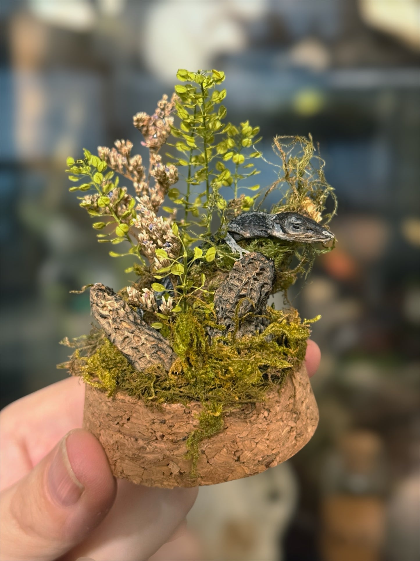 #18 Mini Lizard & Morel mushroom Globe 3”-4”