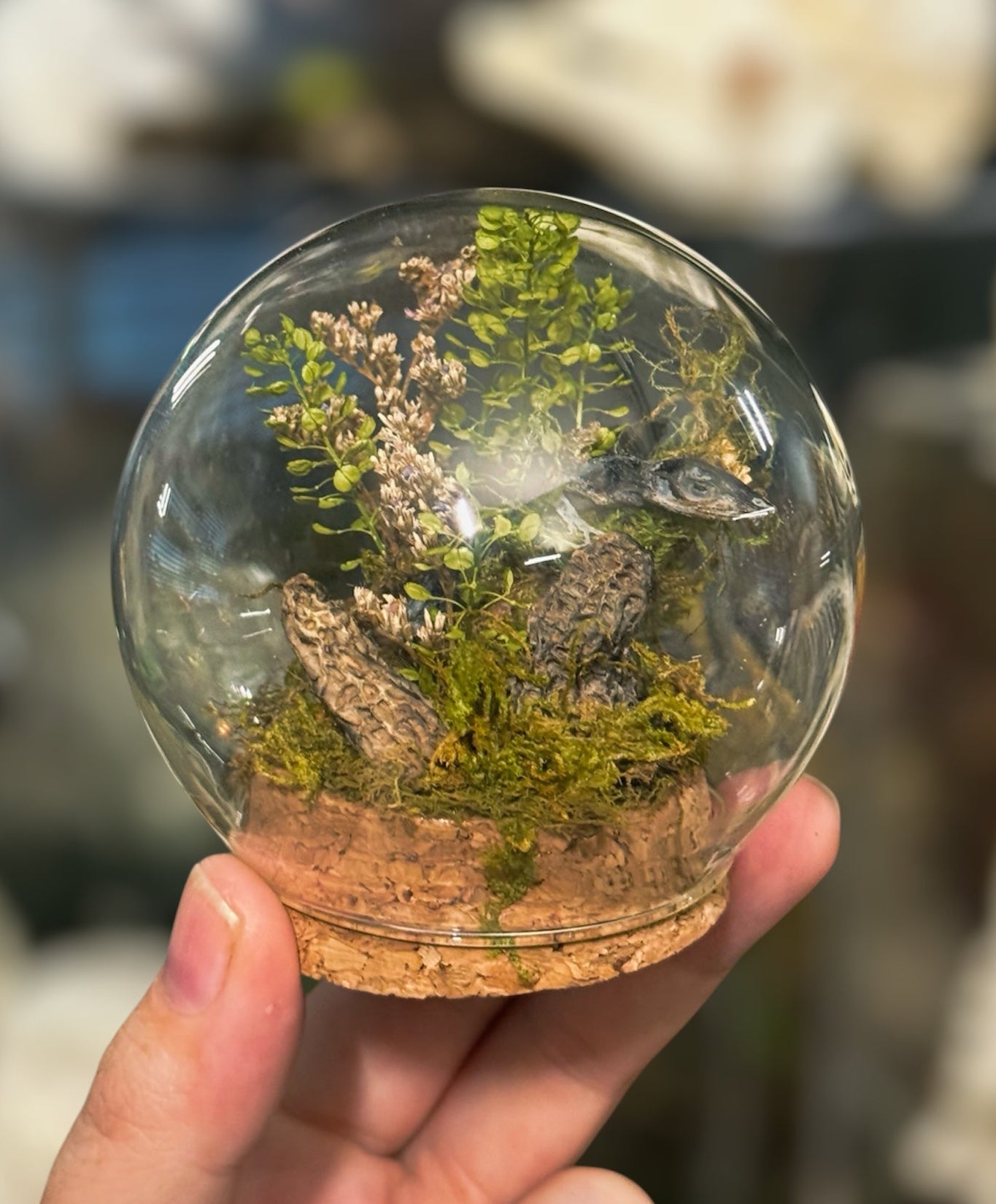 #18 Mini Lizard & Morel mushroom Globe 3”-4”