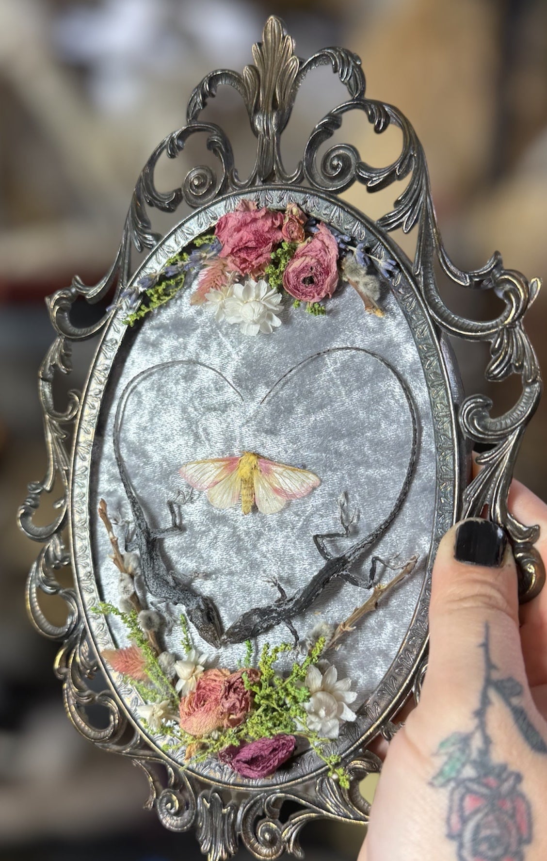 #17 Mummified Heart shaped lizards 7x10