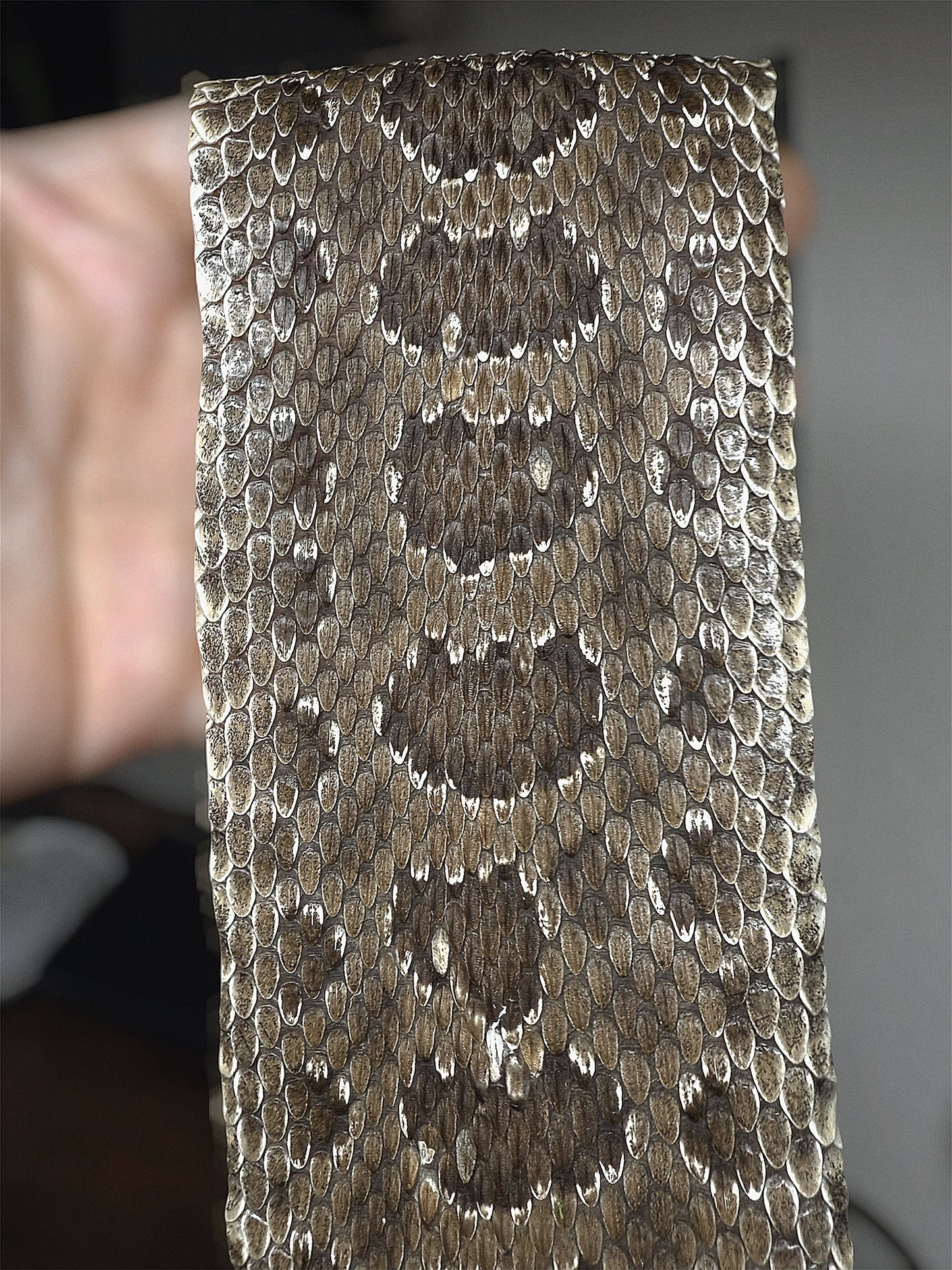 #42 Professionally Tanned Rattler hide 2.5 Feet long