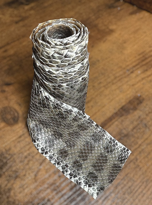 #42 Professionally Tanned Rattler hide 2.5 Feet long