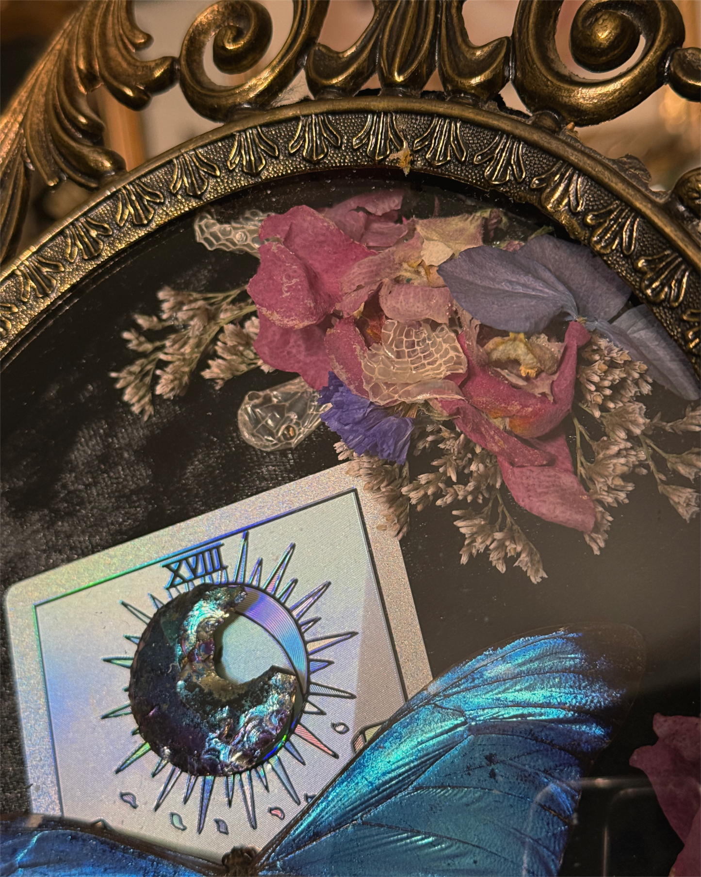 #12 Snake head shed & Tarot Moon 10x13