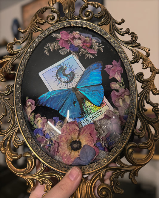 #12 Snake head shed & Tarot Moon 10x13