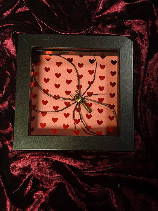 5. Love bug frame (READ DESCRIPTION)