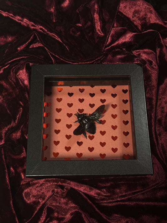 5. Love bug frame (READ DESCRIPTION)