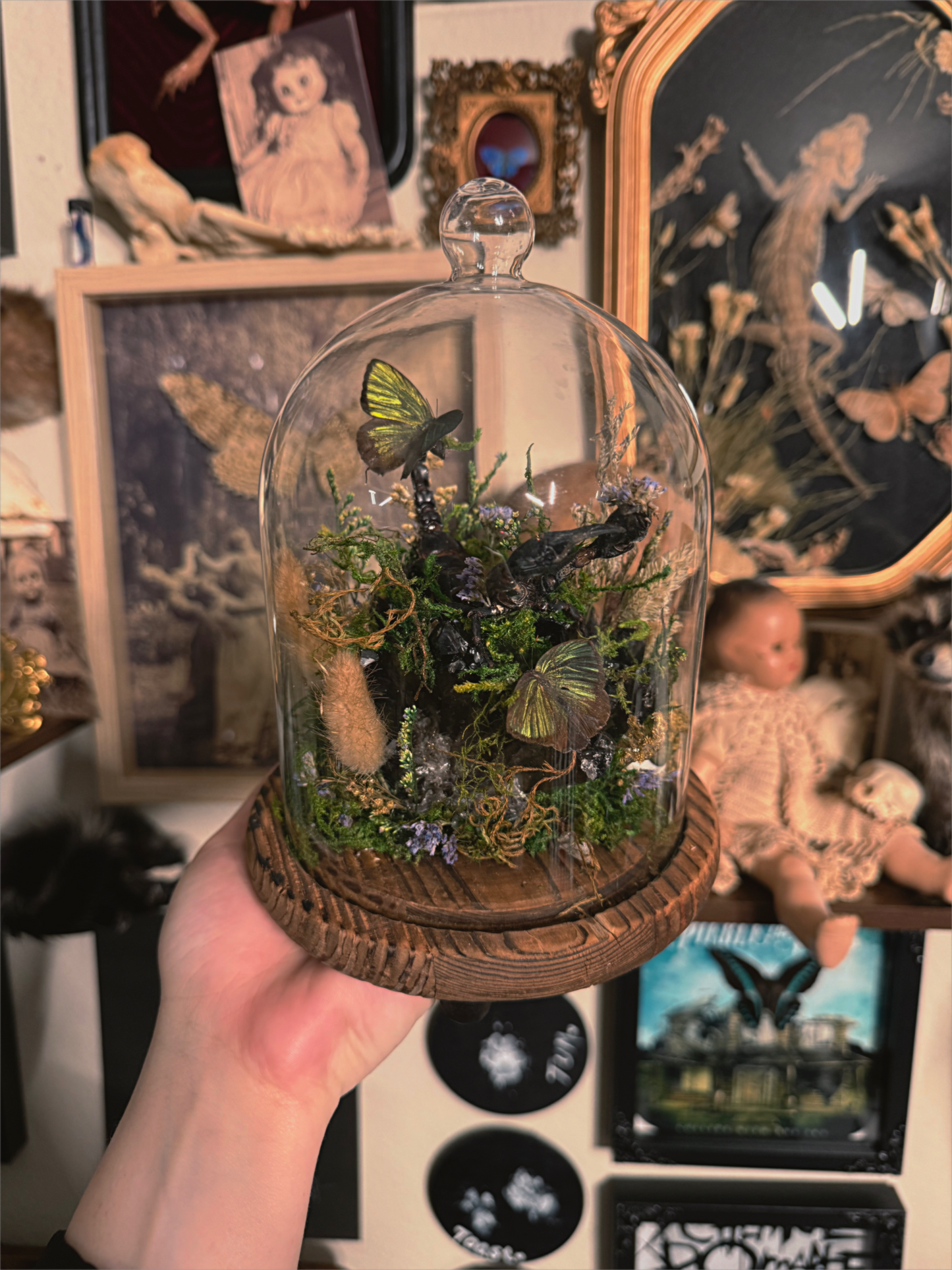 #53 GIANT natural black crystal quarts, Scorpion, eyeball & butterfly Bell dome