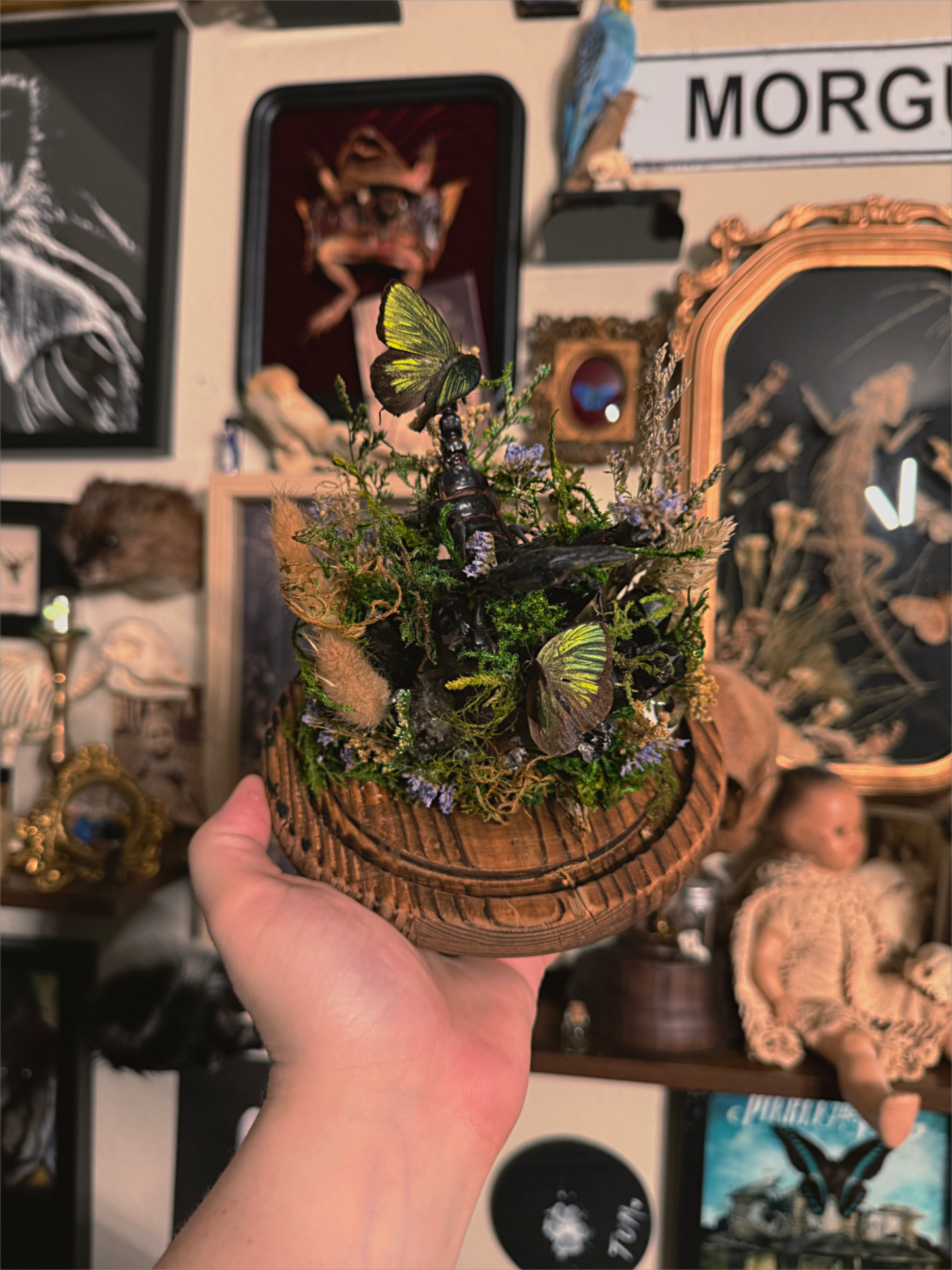 #53 GIANT natural black crystal quarts, Scorpion, eyeball & butterfly Bell dome