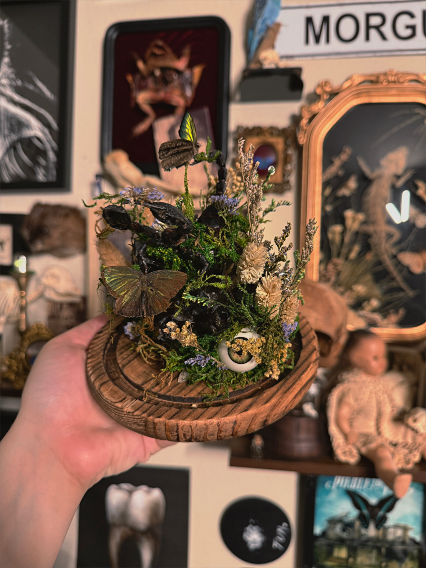 #53 GIANT natural black crystal quarts, Scorpion, eyeball & butterfly Bell dome