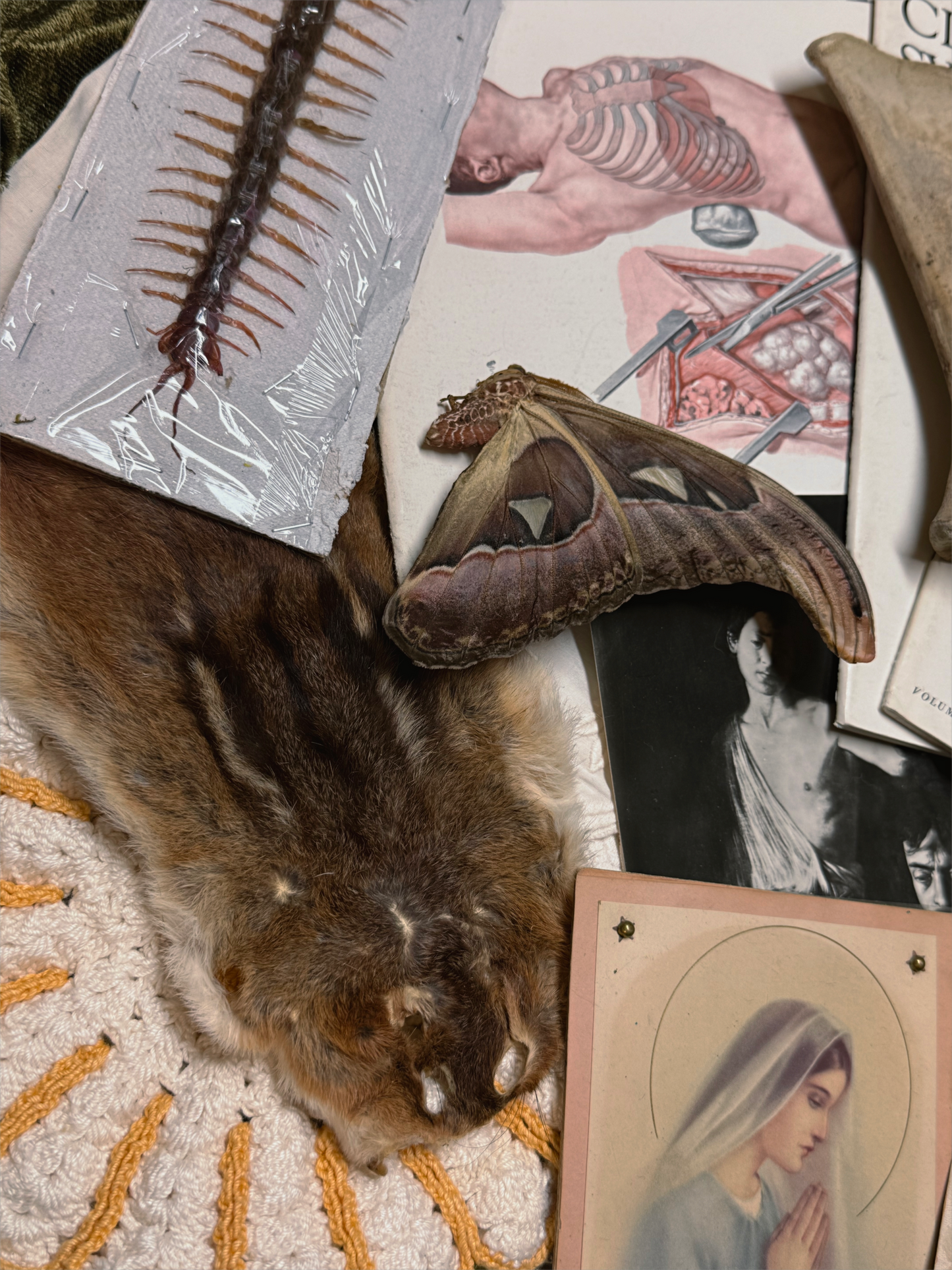 #60 DELUX MYSTERY CIGAR BOX - NO FILLERS / NO JUNK!