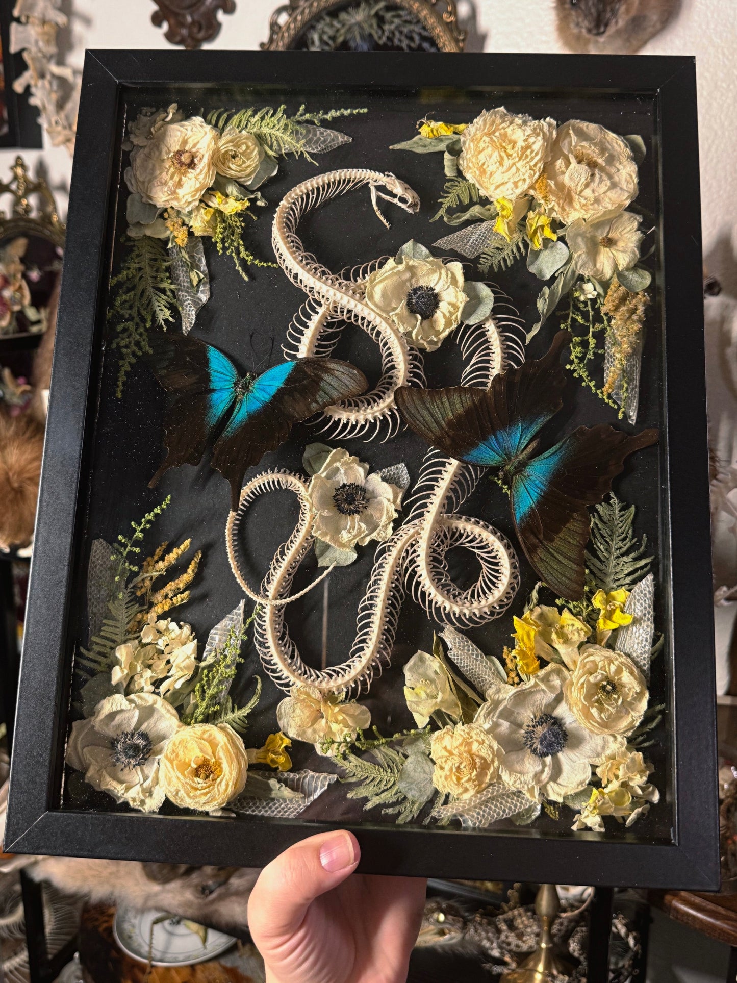 #4 Snake skeleton 12x15